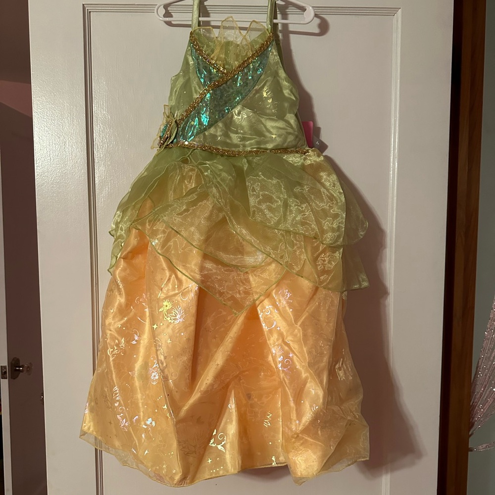 Disney Princess Tiana dress